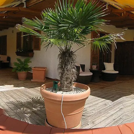 Haus Sonnenschein מלון *